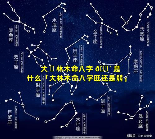 大 ☘ 林木命八字 🌴 是什么「大林木命八字旺还是弱」